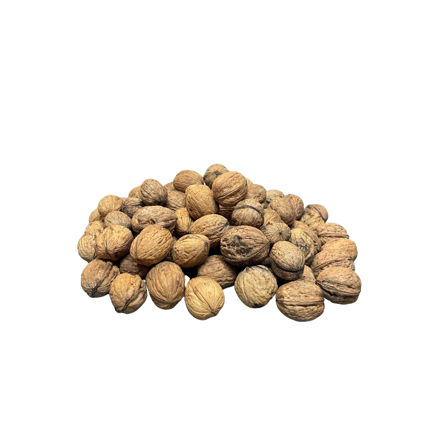 #99 - Walnüsse vom Steyerberg