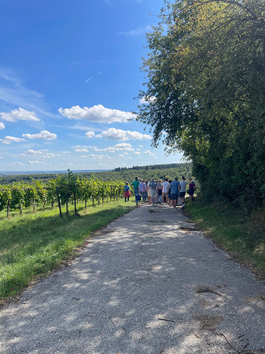 Rückblick zu unseren Terroir-Wanderungen