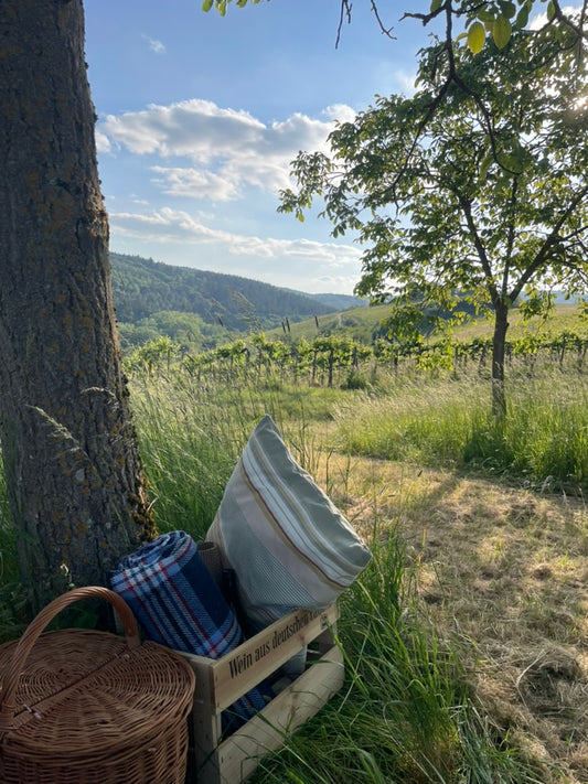 Picknick im Mai