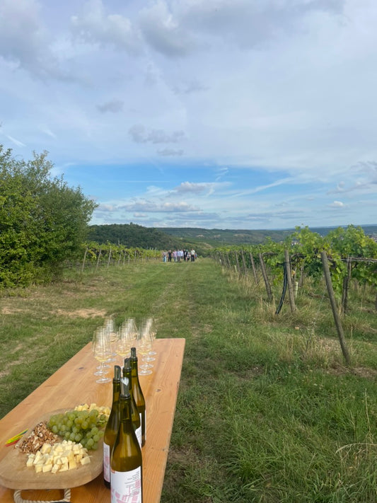 Terroir-Wanderung 29.08.2026 & 05.09.2026