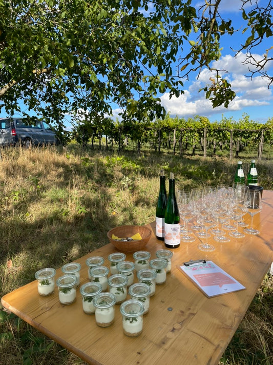 Terroir-Wanderung 29.08.2026 & 05.09.2026