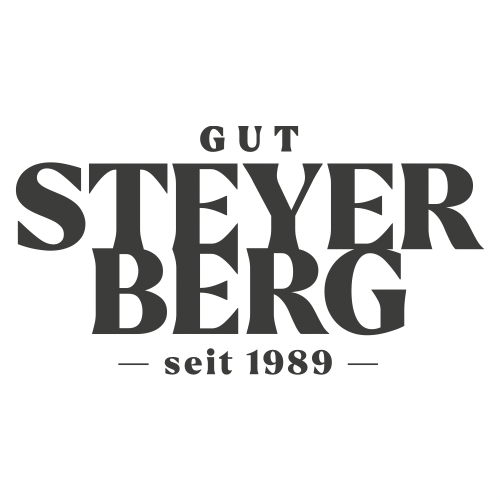 Gut Steyerberg