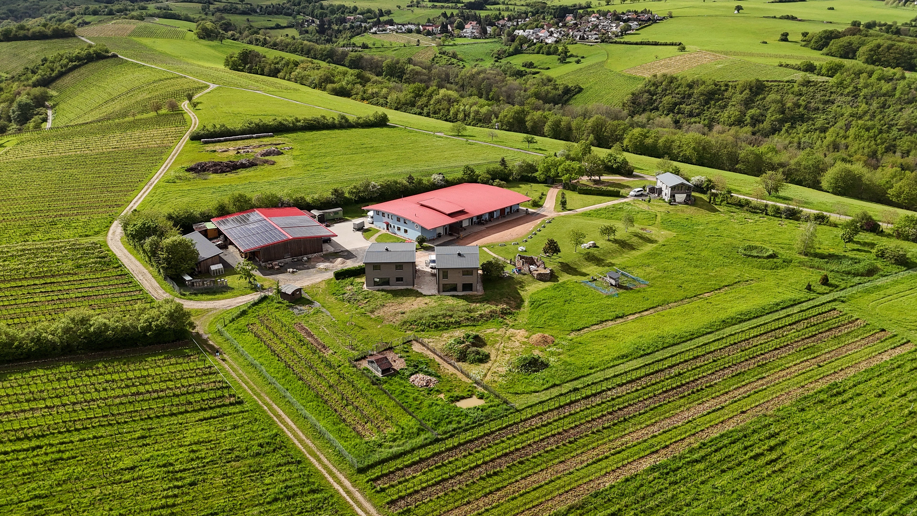 Wirtschaftsgebäude, Wohn- und Ferienhäuser liegen inmitten von Wiesen und Weinbergen
