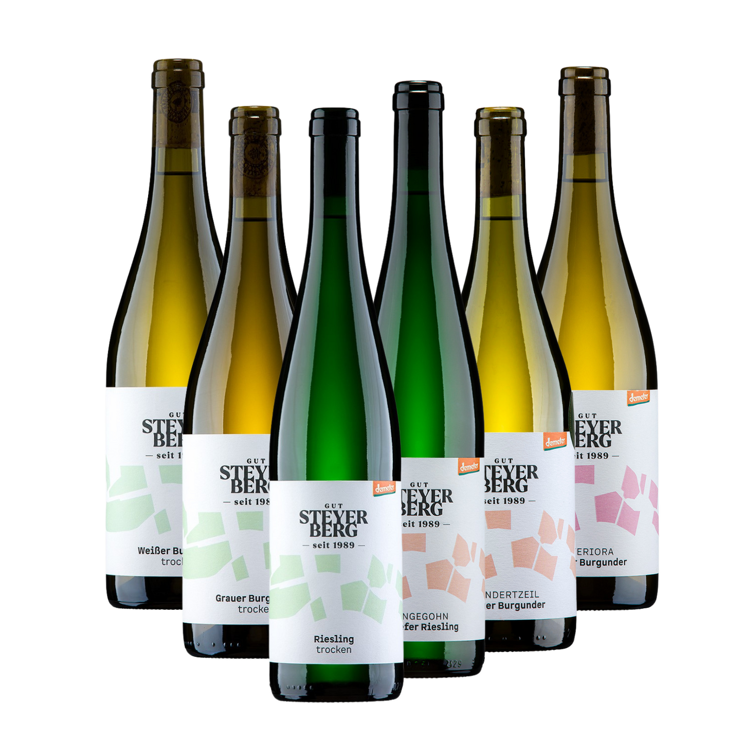 Entdeckerpaket Weißwein trocken